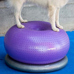 ZNTS FitPAWS Donut Holder 63 cm Grey 433821