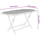 Dining Set Natural Wood Solid Acacia Wood Medium Foldable 3060198