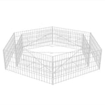 ZNTS Hexagonal Gabion Raised Bed 200x173x40 cm 142536