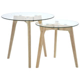 ZNTS Side Table Set 2 pcs Tempered Glass 249501