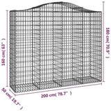 Arched Gabion Basket 200x50x160/180 cm Galvanised Iron 153398