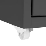 Mobile File Cabinet Anthracite 28x41x109 cm Metal 335923