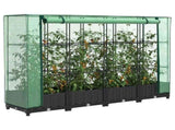 Raised Bed with Greenhouse Cover Rattan Look 160x40x123 cm 4015812