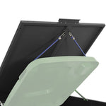Wheelie Bin Storage for 3 Bins Black 207x79x117 cm Steel 3279978