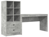Desk with Drawer with Shelf with Storage 2 pcs Concrete Grey 3337332