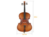 Full Side 4/4 Matte Natural Color Spruce Panel Cello with Bag Bow Rosin Bridge Strings 48508763