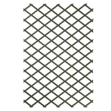 ZNTS Nature Garden Trellis 100x200 cm Wood Green 6041704 409347