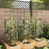 Tomato Cages 6 pcs 154 cm Steel and PP 3281489