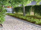 Lawn Edging 4 pcs Silver 450 x 0.05 x 10 cm Galvanised Steel 868019