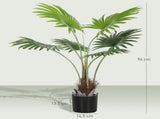 Artificial Plant 59278454