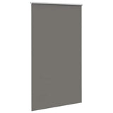 ZNTS Roller Blind Blackout Grey 140x210 cm Fabric Width 136.6 cm Polyester 4011188