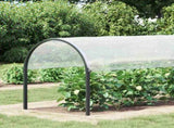 Plant Cover Transparent 2 x 12 m PE 3429273