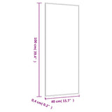 Wall Mirror 40x100 cm Glass Rectangle 350448