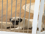 Foldable Dog Gate, Freestanding Pet Gate, with Two Support Feet, for Staircases, Hallways, Doorways T3398P349734