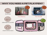 Pet Carrier 38013398