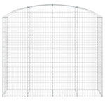 Arched Gabion Basket 200x50x160/180 cm Galvanised Iron 153478