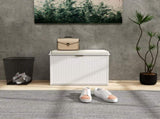Shoe Storage Cabine 03264120