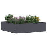 Lawn Edging 6 pcs Anthracite 50 x 50 x 13 cm Steel 874721