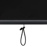 Outdoor Roller Blind 100x250 cm Anthracite 145958