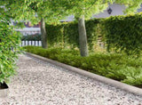 Lawn Edging 50 pcs 100 x 12 cm Steel Silver 8008803