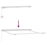 Manual Retractable Awning Burgundy 300x250 cm 3215228