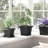 Plant Pots 6 pcs Black 20 x 20 x 16 cm Plastic 3403298