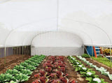 19.5 x 9.8ft Tunnel Greenhouse, with Accessories - White T3398P319954