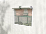Walk-in Greenhouse with 3 Tier 12 Shelves, Small Greenhouse with Reinforced PE Cover, Garden Plant T3398P318656