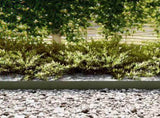 Lawn Edging 10 pcs Olive Green 100 x 0.05 x 15 cm 865930
