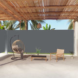 Retractable Side Awning Anthracite 220x1000 cm 318050