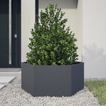 ZNTS Garden Planter Anthracite Hexagon 104x90x45 cm Steel 851131