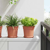 Plant Pots 24 pcs Brick Red 19 x 16 cm Plastic 3403265
