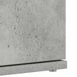 Shoe Cabinet with Door Grey 80 x 39 x 180 cm Engineered wood 3333869