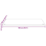 Desk Top White 100x60x2.5 cm Solid Wood Pine 824466
