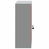 Tool Cabinet with Shelf Red and Grey 50 x 20 x 55 cm Steel 4103470