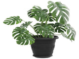 Plant Pots 24 pcs Black 22 x 18 cm Plastic 3403285