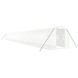 Greenhouse with Steel Frame White 48m 24x2x2 m 3188038