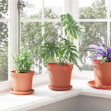 Plant Pots 24 pcs Brick Red 17 x 14 cm Plastic 3403264