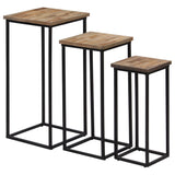 3 Piece Plant Table Set Reclaimed Teak 246088