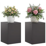 Plant Stand 2 pcs Black 30 x 30 x 40 cm Steel 8012461