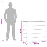 Garden Raised Bed Brown 100 x 50 x 91 cm 42038997