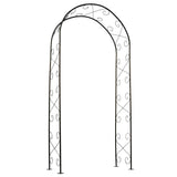 ZNTS Nature Garden Arch Metal 100x37x230cm Black 434651