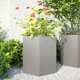 ZNTS Garden Planter 2 pcs Hexagon 46x40x45 cm Stainless Steel 851117