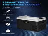 30L Portable Car Refrigerator - Grey and Black T3398P349481