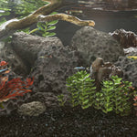 Volcanic Rocks 25 kg Black 10-30 cm 155326