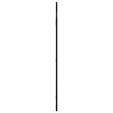 Wall Mirror Black 50x100 cm Arch Iron 358626