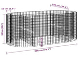 Gabion Raised Bed Galvanised Iron 200x100x100 cm 152045
