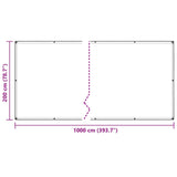 Clear Tarpaulin with Eyelets 2x10 m Polyethylene 4018509
