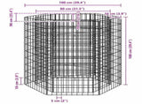 Hexagonal Gabion Raised Bed 100x90x100 cm 142533