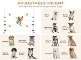 Dog agility training equipment 09757927